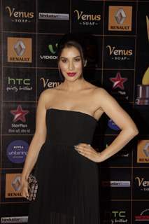 Sophie Chaudhary at Renault Star Guild Awards 2013