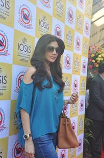 Shilpa Shetty & IOSIS for a charity event for CARF