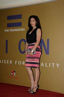 Bollywood Celebs at Equation 2013