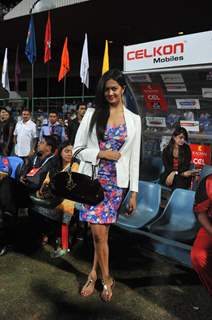 Celebrity Cricket League 2013 (CCL) Finals between Karnataka Bulldozers vs Telugu Warriors at the Chinnaswamy Stadium in Bengaluru