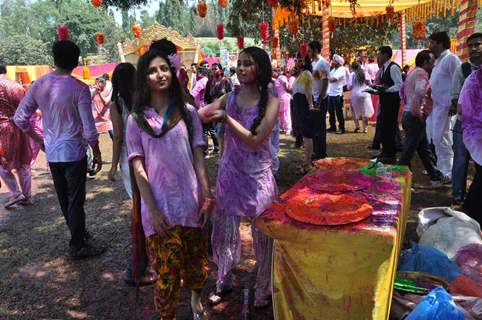 Rang De Colors Holi Party With Colors Artist