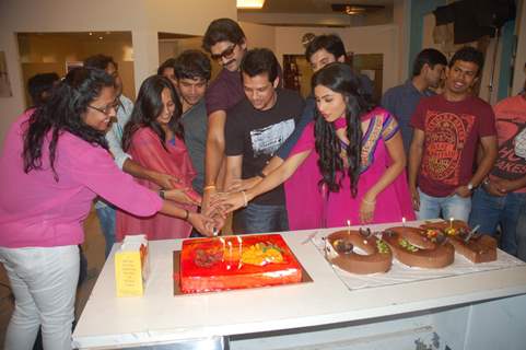 100 episodes cake cutting in Junoon