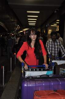 Celebs at Airpot Going to Toifa Awards