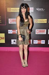 Womens Prerna Awards 2013