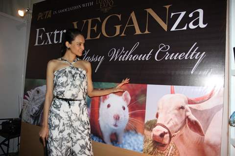 PETA promotes Extra-Vegan-Za at Indian Luxury Expo