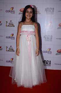 Indian Telly Awards