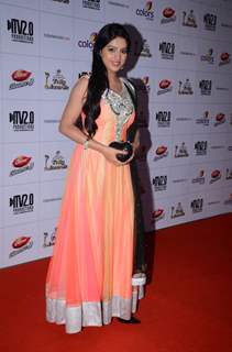 Indian Telly Awards