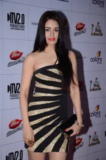 Indian Telly Awards