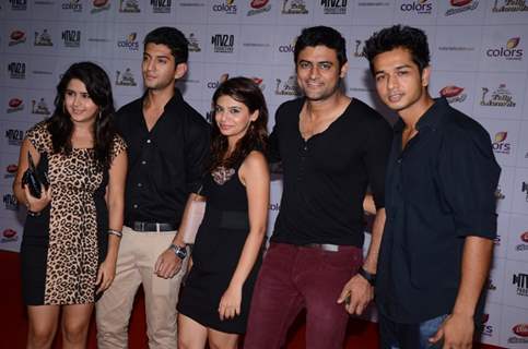 Indian Telly Awards 2013