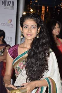 Indian Telly Awards 2013