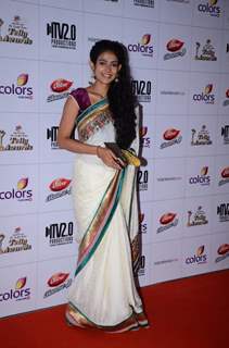 Indian Telly Awards 2013