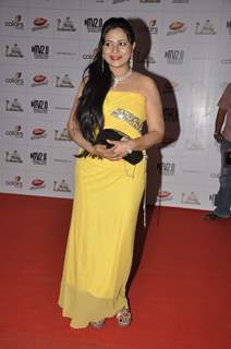 Indian Telly Awards 2013