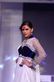 Rajasthan Fashion Week 2013 at Jaipur