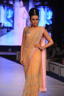 Sameera Reddy walks for designer Neeta Lulla at the grand Finale of Rajasthan Fashion Week