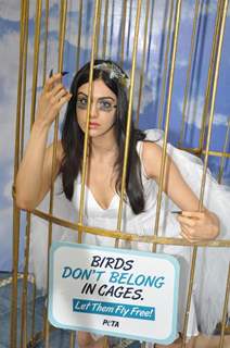 Adah Sharma locks herself inside cage for PETA Campaign