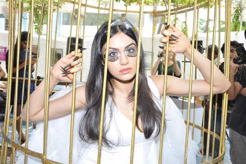 Adah Sharma locks herself inside cage for PETA Campaign