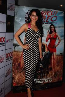 Premiere of 'Shortcut Romeo'