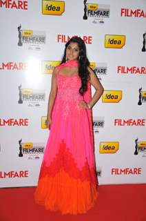 60th Idea Filmfare Awards 2012 (SOUTH)