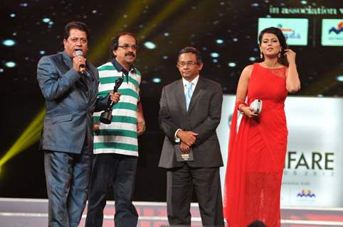 60th Idea Filmfare Awards 2012 (SOUTH)