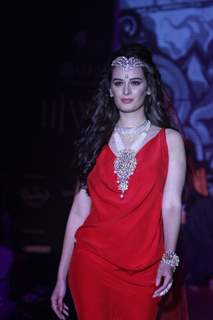 Evelyn Sharma showstopper for Gehna show at IIJW 2013