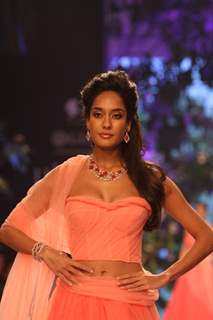 Lisa Haydon showstopper for Nirav Modi show at IIJW 2013