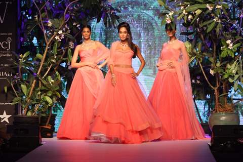 Lisa Haydon showstopper for Nirav Modi show at IIJW 2013