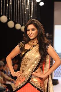 TV Celebs walk the ramp for Gitanjali Gems at IIJW 2013