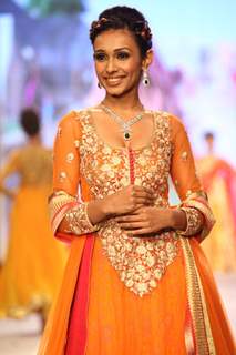 Gitanjali show on Day 2 at IIJW 2013