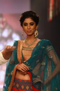 Gitanjali show on Day 2 at IIJW 2013