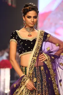 Gitanjali show on Day 2 at IIJW 2013