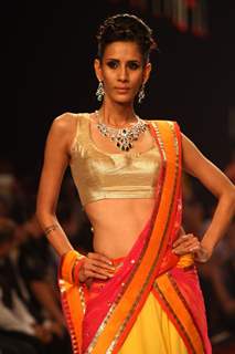 Gitanjali show on Day 2 at IIJW 2013