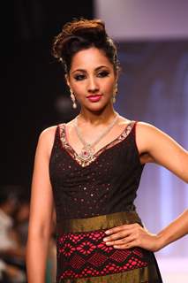 Moni Agarwal show at IIJW 2013