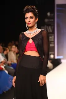 Moni Agarwal show at IIJW 2013