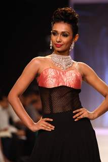 Moni Agarwal show at IIJW 2013