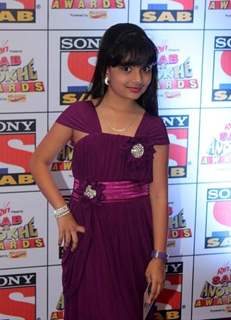 SAB Ke Anokhe Awards 2013