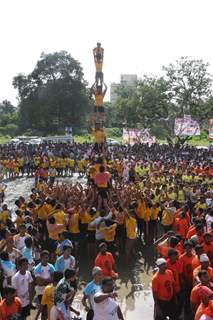 Dahi Handi celebrations