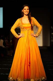 Bollywood Celebrities at LFW Winter Festival 2013