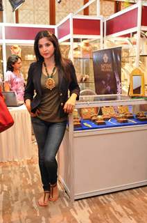 Maheep Kapoor was at Araaish Trousseau - a fund raising exhibition