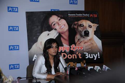 Raveena Tandon at Peta's Press Conference