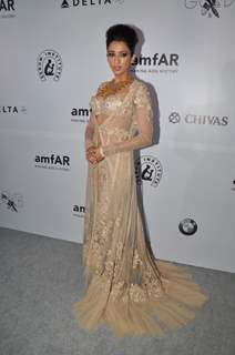 Hollywood Actress Sharon Stone & Hilary Swank at the inauguration of amfAR India event at Hotel Taj Mahal Palace in Mumbai