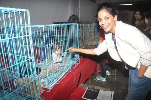 Celebrities attend Pet Adoption 2013