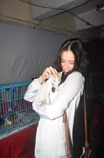 Kalki attended the Pet Adoption 2013