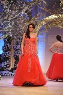 Aamby Valley India Bridal Fashion Week 2013