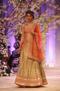 Aamby Valley India Bridal Fashion Week 2013