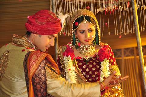 Ravi Dubey and Sargun Mehta's Wedding Ceremony