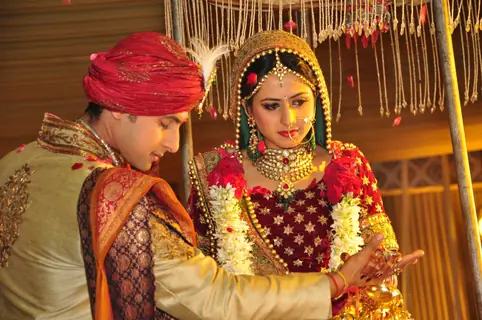 Ravi Dubey and Sargun Mehta's Wedding Ceremony