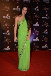 Tara Sharma was seen at the COLORS Golden Petal Awards 2013