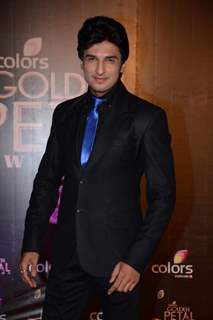 Manish Raisinghani at the COLORS Golden Petal Awards 2013
