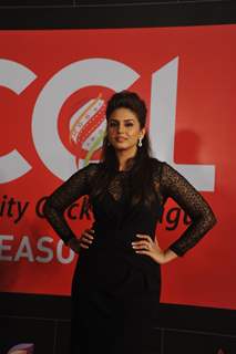 Celebrity Cricket League Season 4