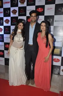 Launch of Telly calendar 2014